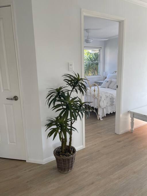 Studio Seaside Self-Contained Apartment Marcoola Exterior foto